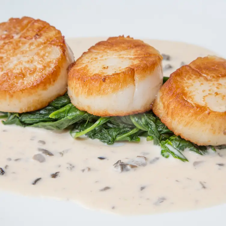 OMBRA Cucina Italiana, Hilton Head Island, SC