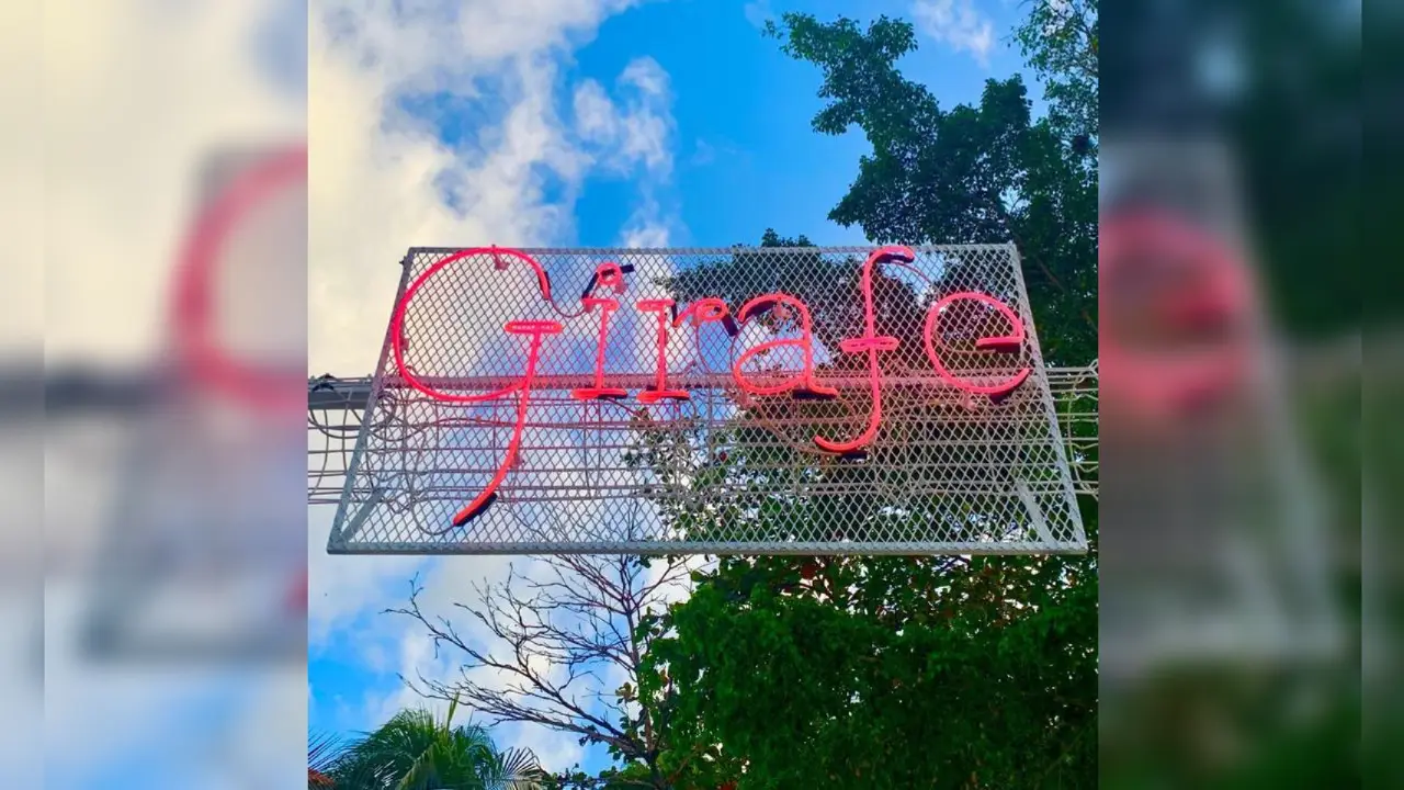 Girafe, Playa del Carmen, ROO