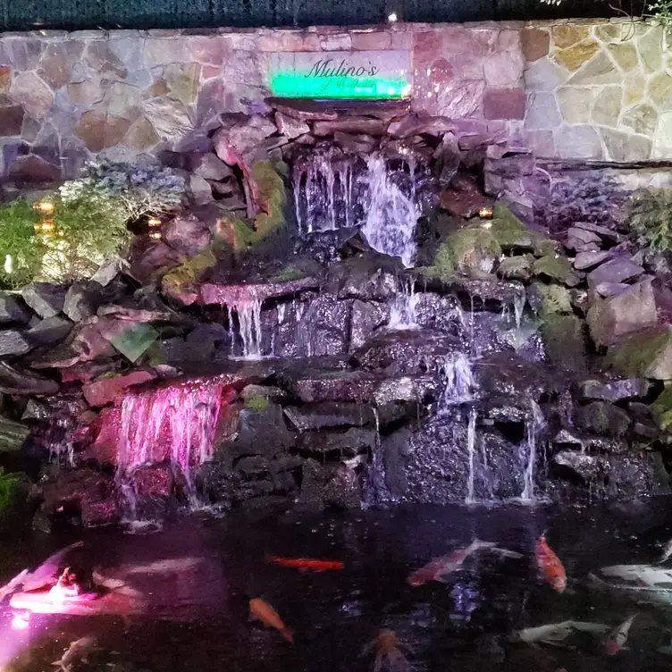 Mulino's, White Plains, NY
