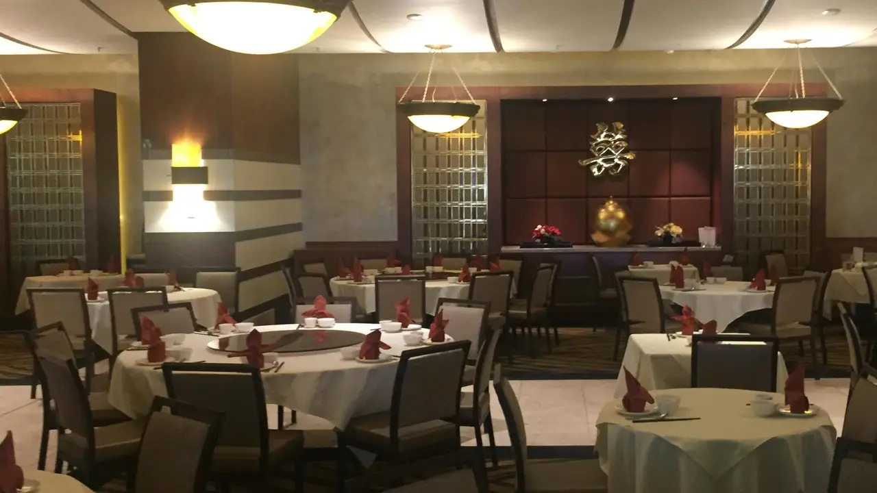 Dynasty Chinese Restaurant, Sydney, NSW