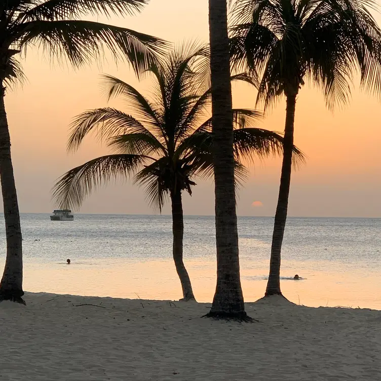 Moomba Beach, Noord, Aruba