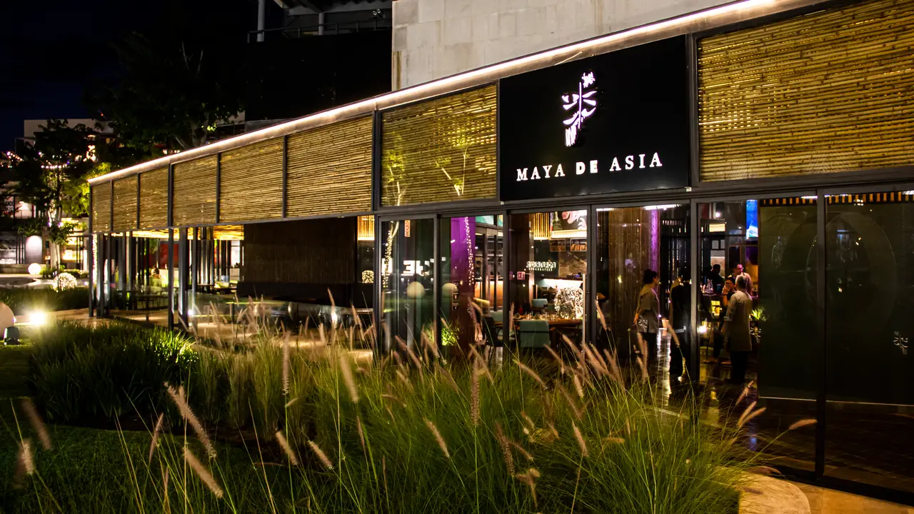 Maya de Asia, Mérida, ROO