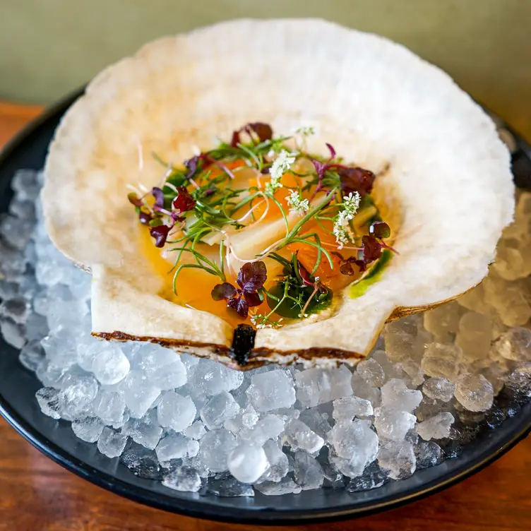 Local Scallop - o ya - NYC - Permanently Closed, New York, NY