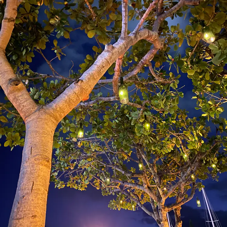 The Grove at The Modern Honolulu, Honolulu, HI