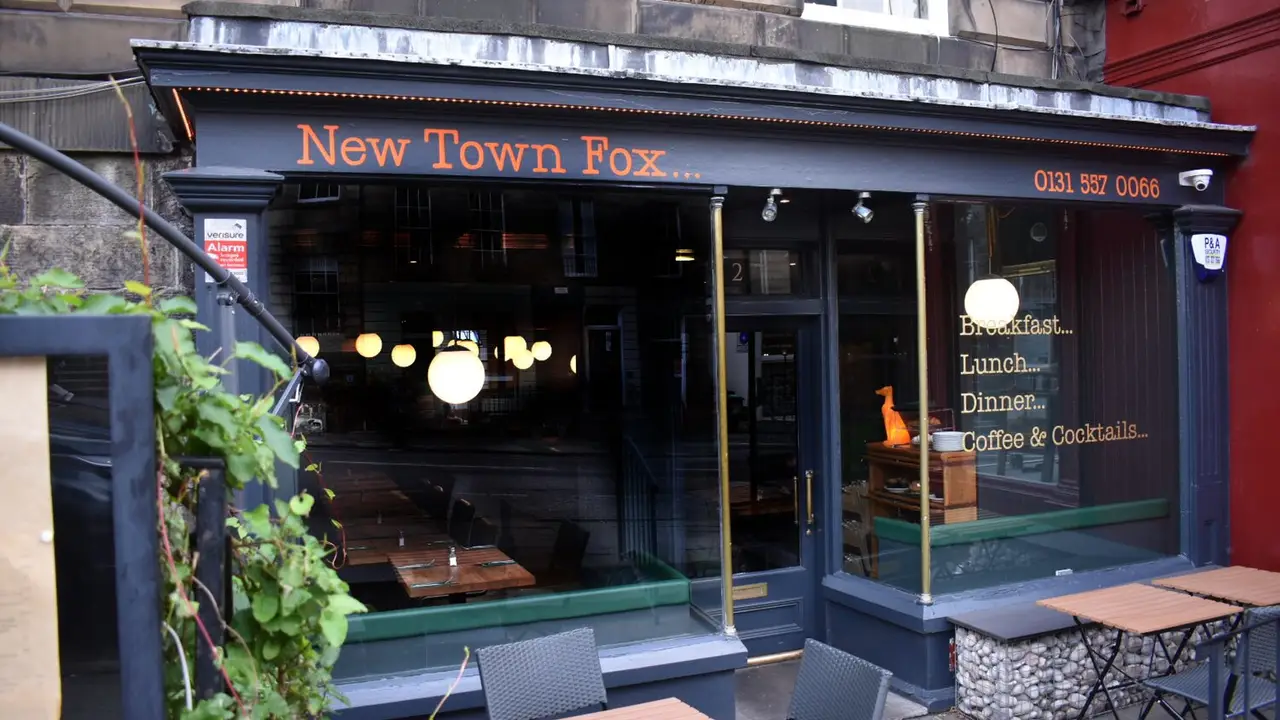 New Town Fox, Edinburgh, Edinburgh