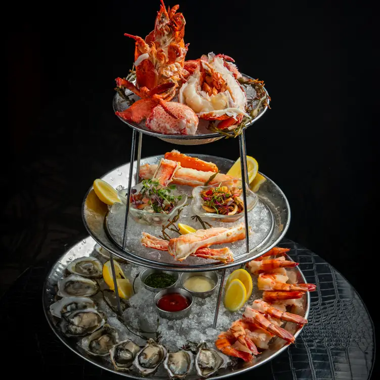 STK – Miami Beach, Miami, FL