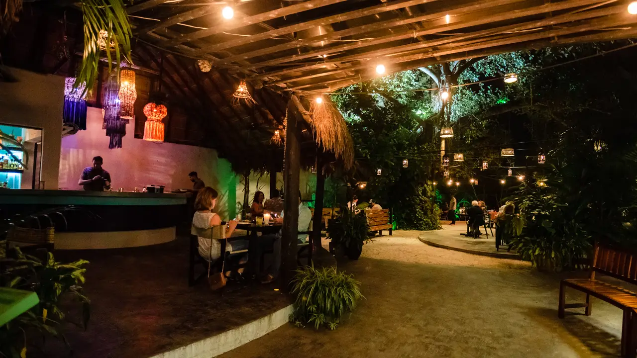 Kondesa, Cozumel, ROO