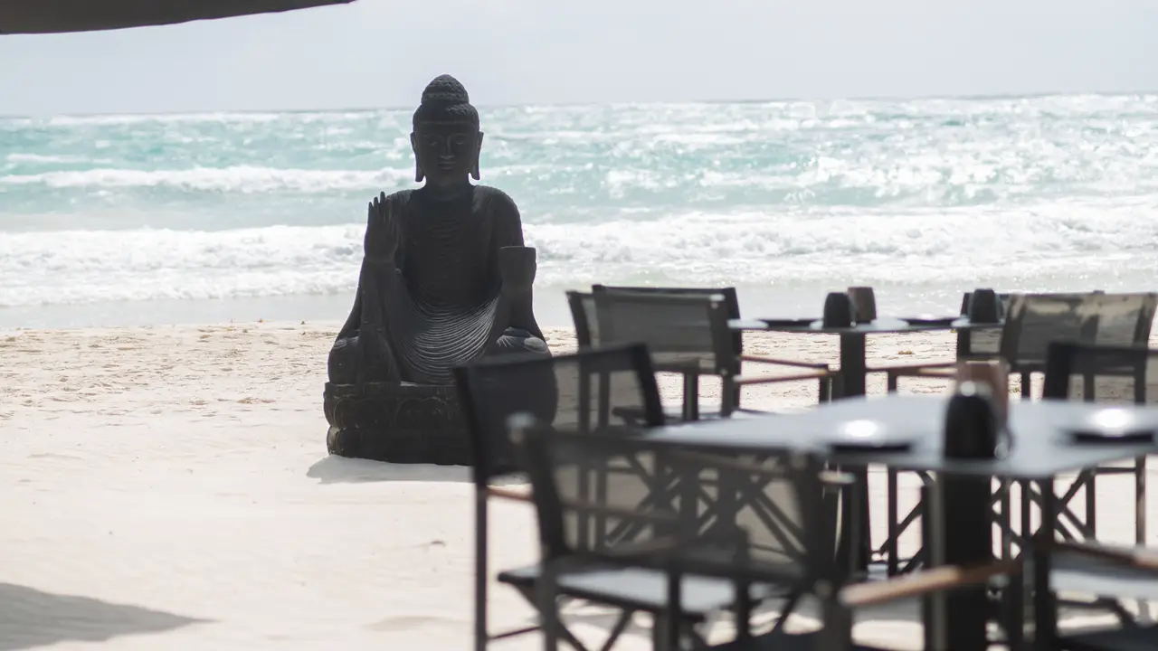 Tago Restaurant ROO Tulum