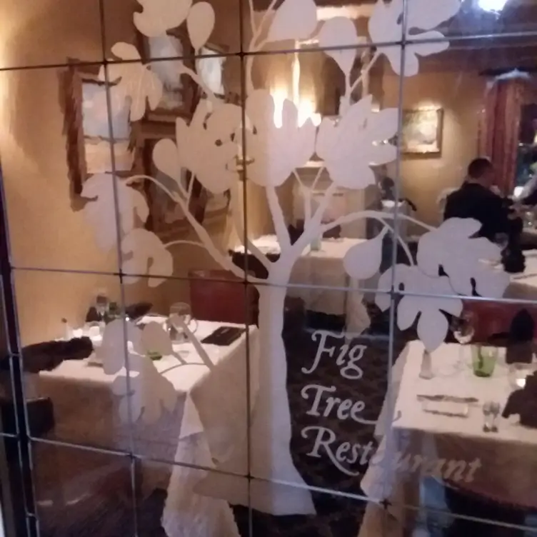 The Fig Tree, San Antonio, TX