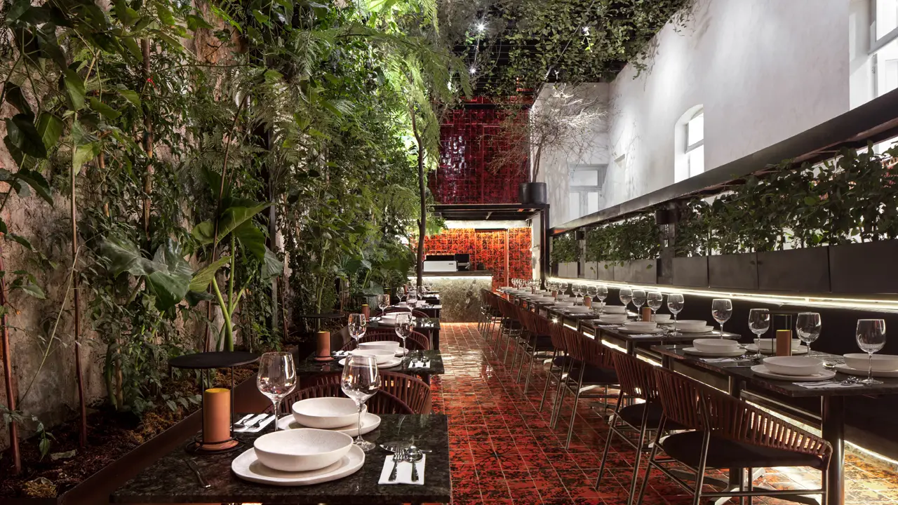 Principal - Xuva, Ciudad de México, CDMX