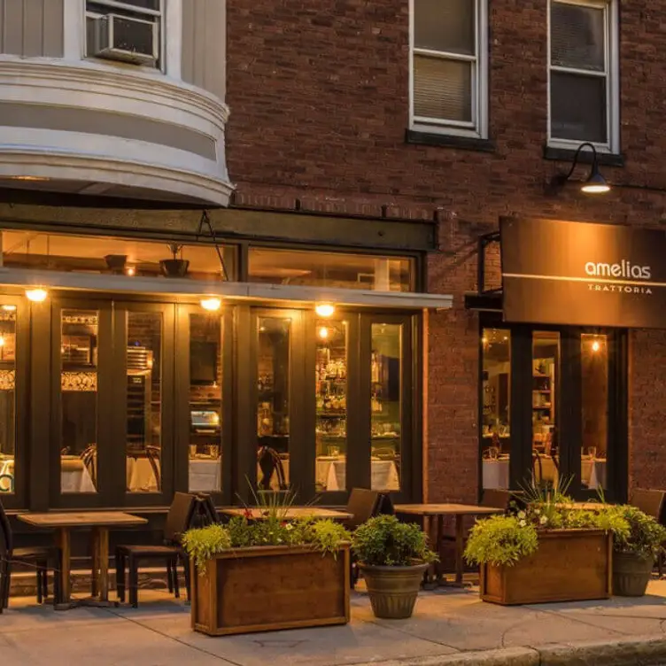 Amelia's Trattoria, Cambridge, MA