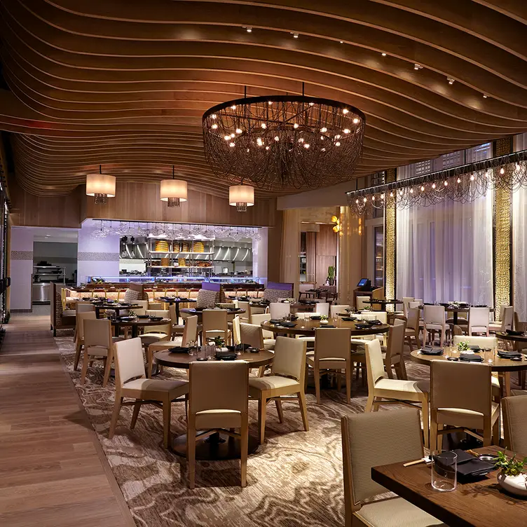 Kuro – Seminole Hard Rock Hotel & Casino Hollywood - Updated