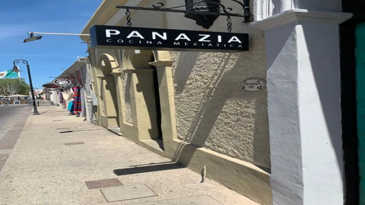 Panazia - San José del Cabo，BCSSan José del cabo