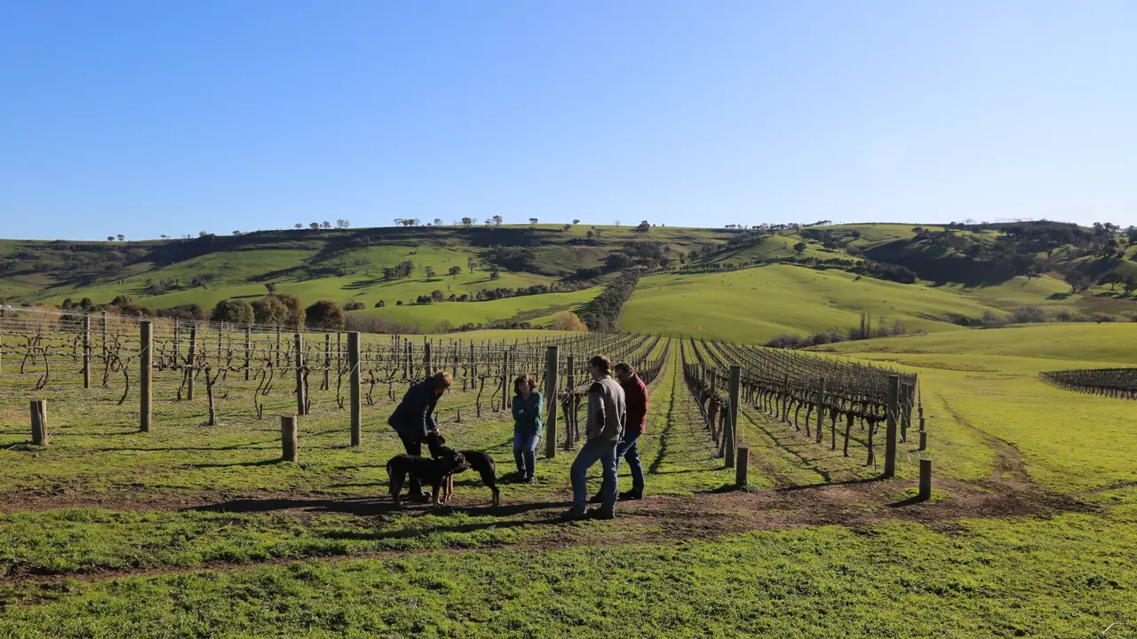 Eden Road Wines, Murrumbateman, AU-NSW