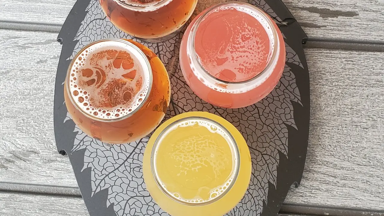 Elm Creek Brewing Co., Champlin, MN