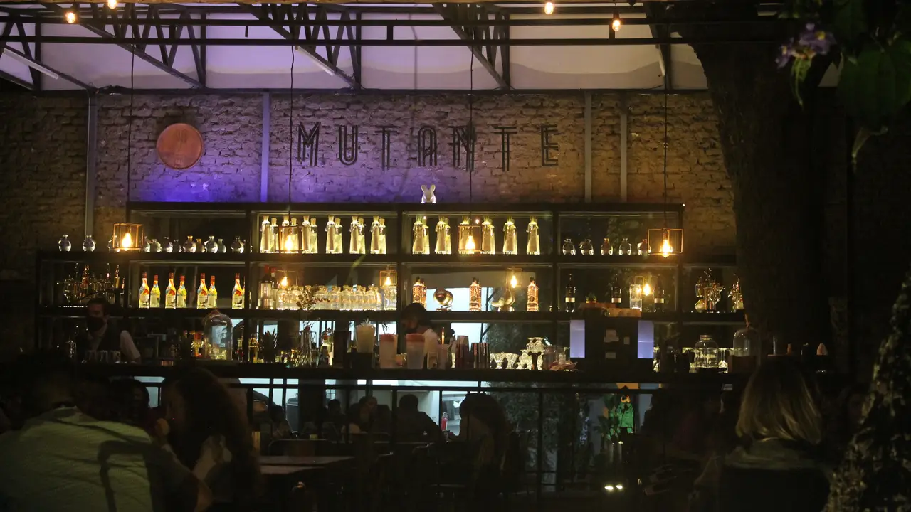 Mutante, Guadalajara, JAL