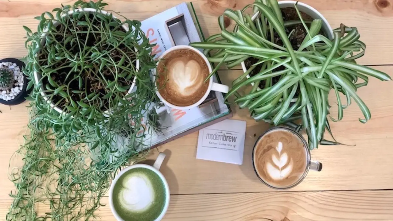 Modern Brew，COCentennial