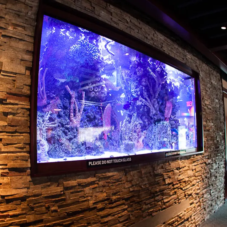 Coastal Grille, Reading, PA