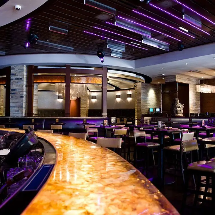 Sambuca 360 - Plano, Plano, TX