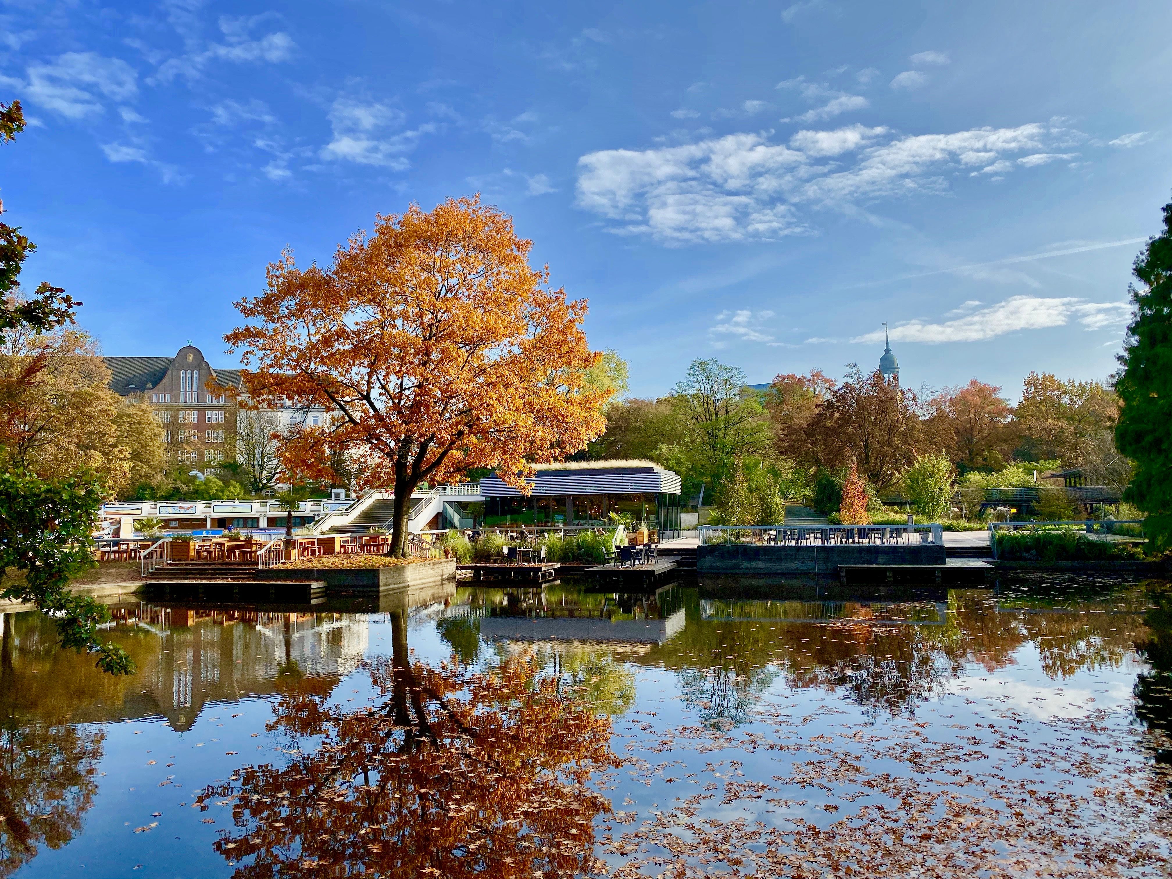 Park Caf Planten un Blomen Restaurant - Hamburg, HH | OpenTable