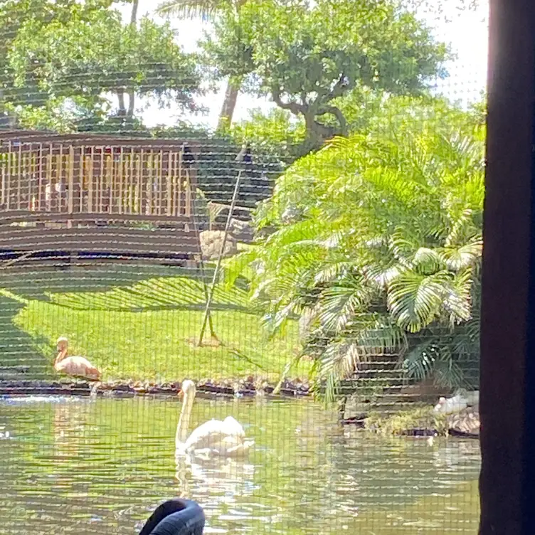 Swan Court Breakfast - Hyatt Regency Maui, Maui, HI
