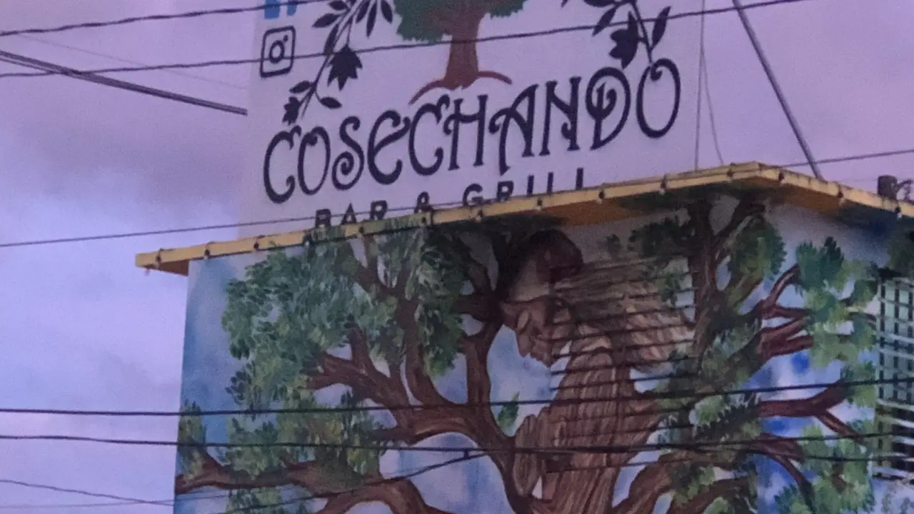 Cosechando Bar & Grill, Vega Alta, PR