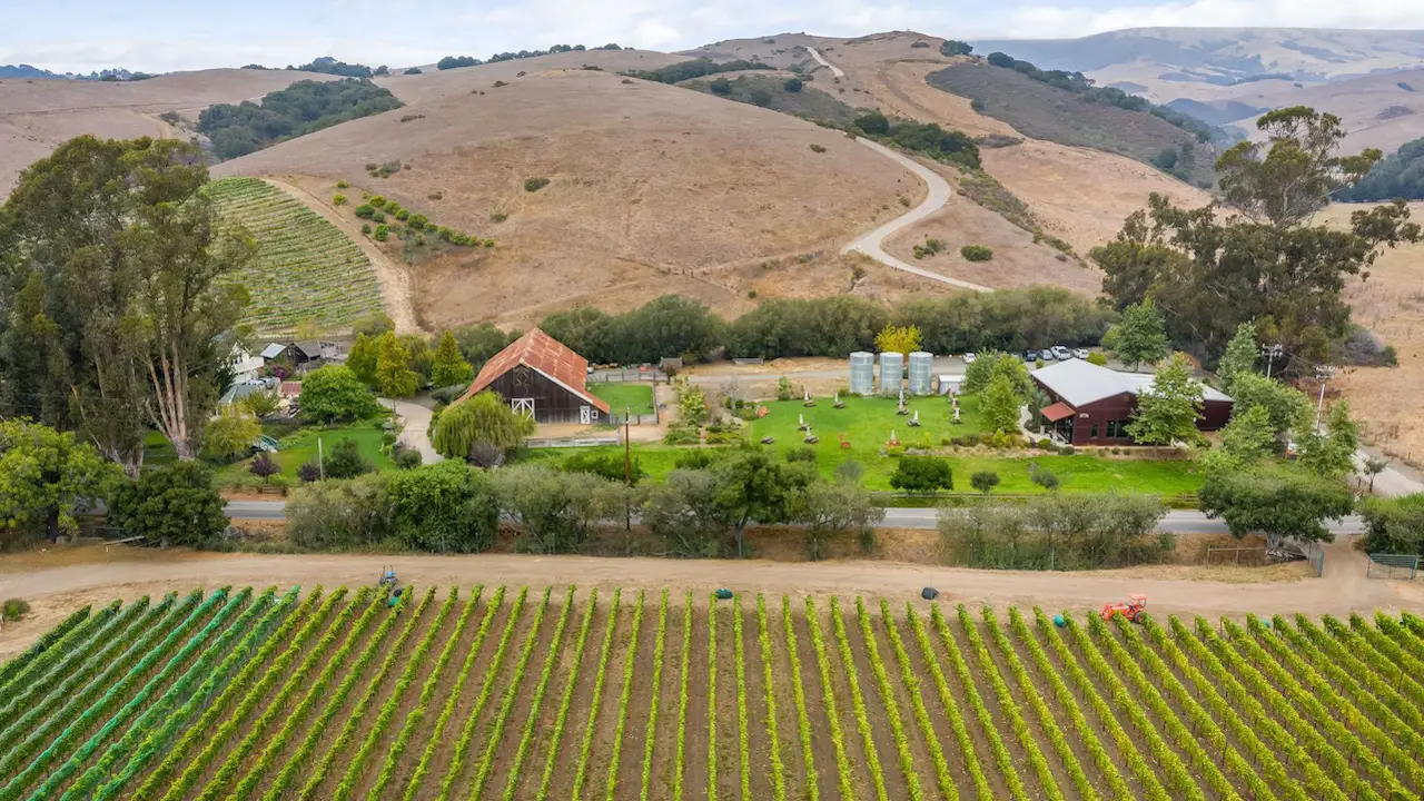 Stolo Vineyards, Cambria, CA
