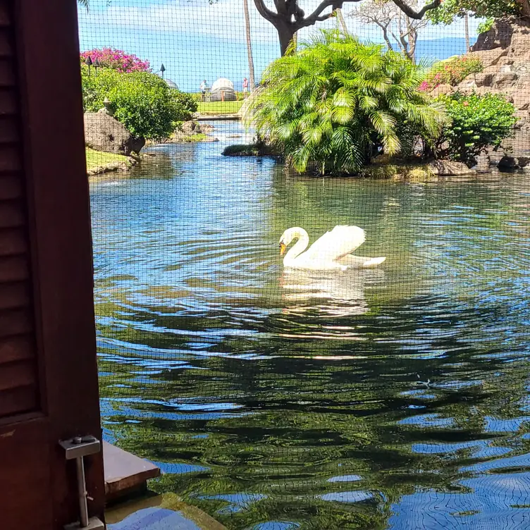 Swan Court Breakfast - Hyatt Regency Maui, Maui, HI