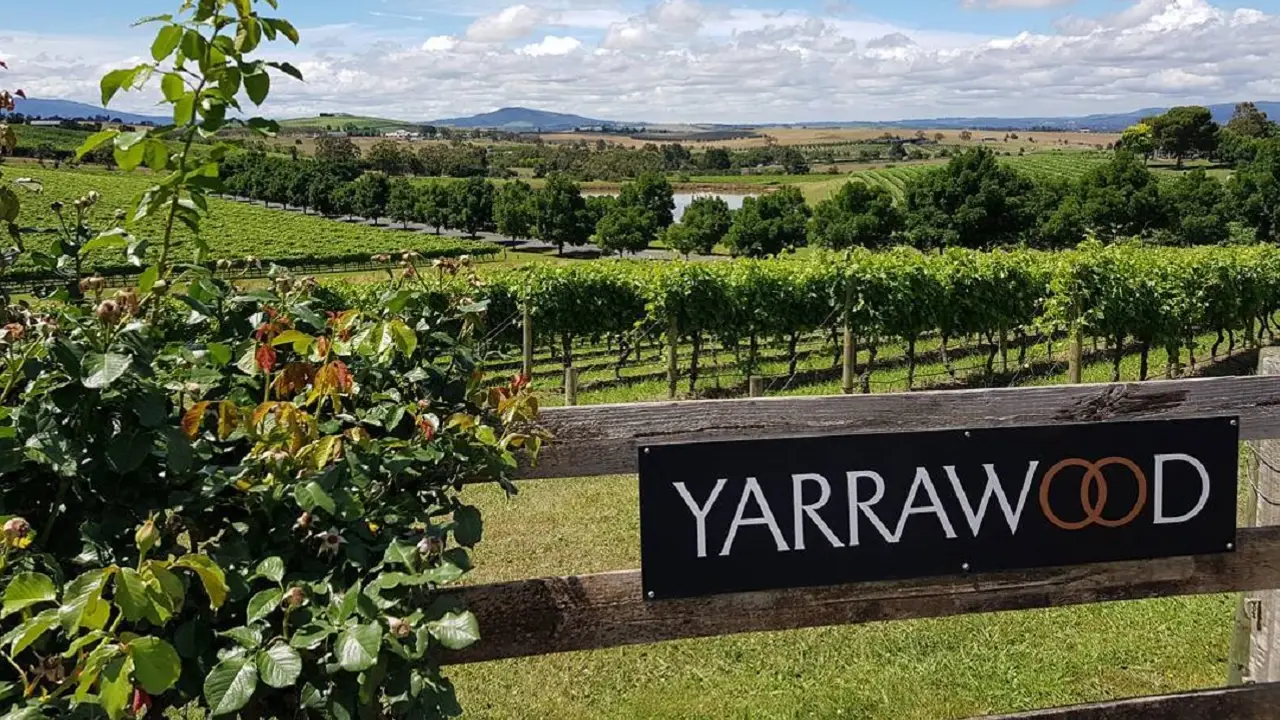 Yarrawood Estate - Cafe, Yarra Glen, AU-VIC