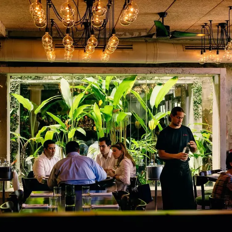 Lunch @ Santaella - Santaella, San Juan, PR