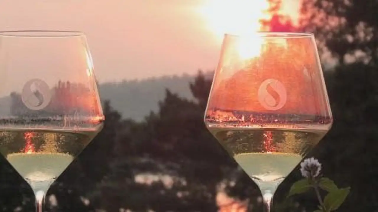Scheuermann Vineyard and Winery, Westport, ON