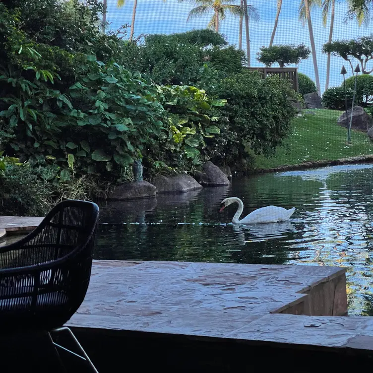 Swan Court Breakfast - Hyatt Regency Maui, Maui, HI