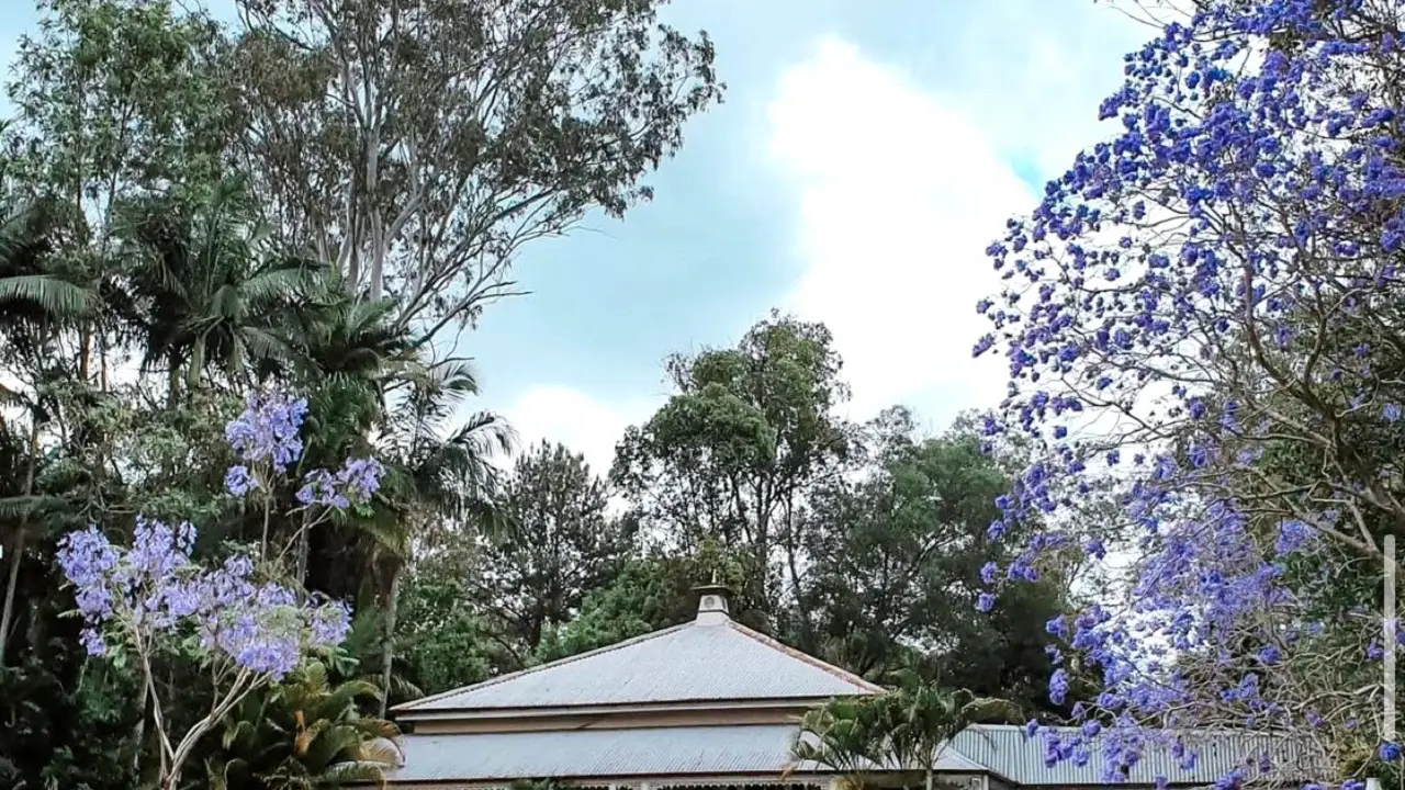 Exterior - Bon AppeTea, Mudgeeraba, AU-QLD