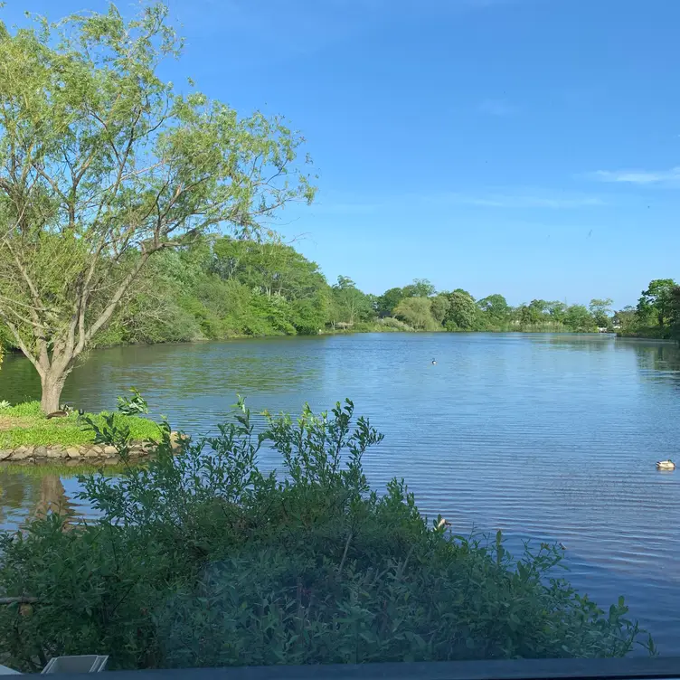 Bella Vie, Bayshore, NY