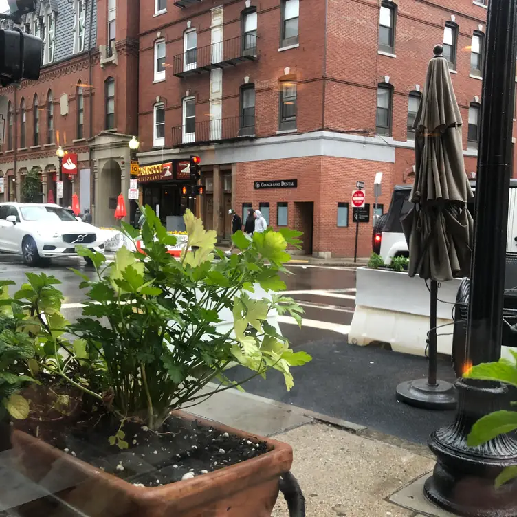 Quattro, Boston, MA