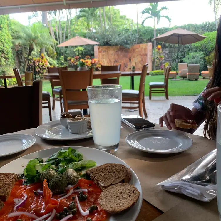 Tamuz, Cuernavaca, MOR