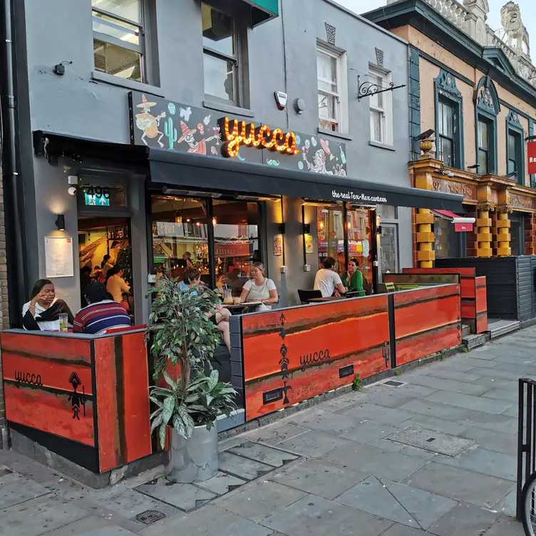 Yucca, London, 