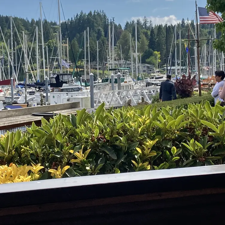Doc's Marina Grill-Bainbridge Island, Bainbridge, WA