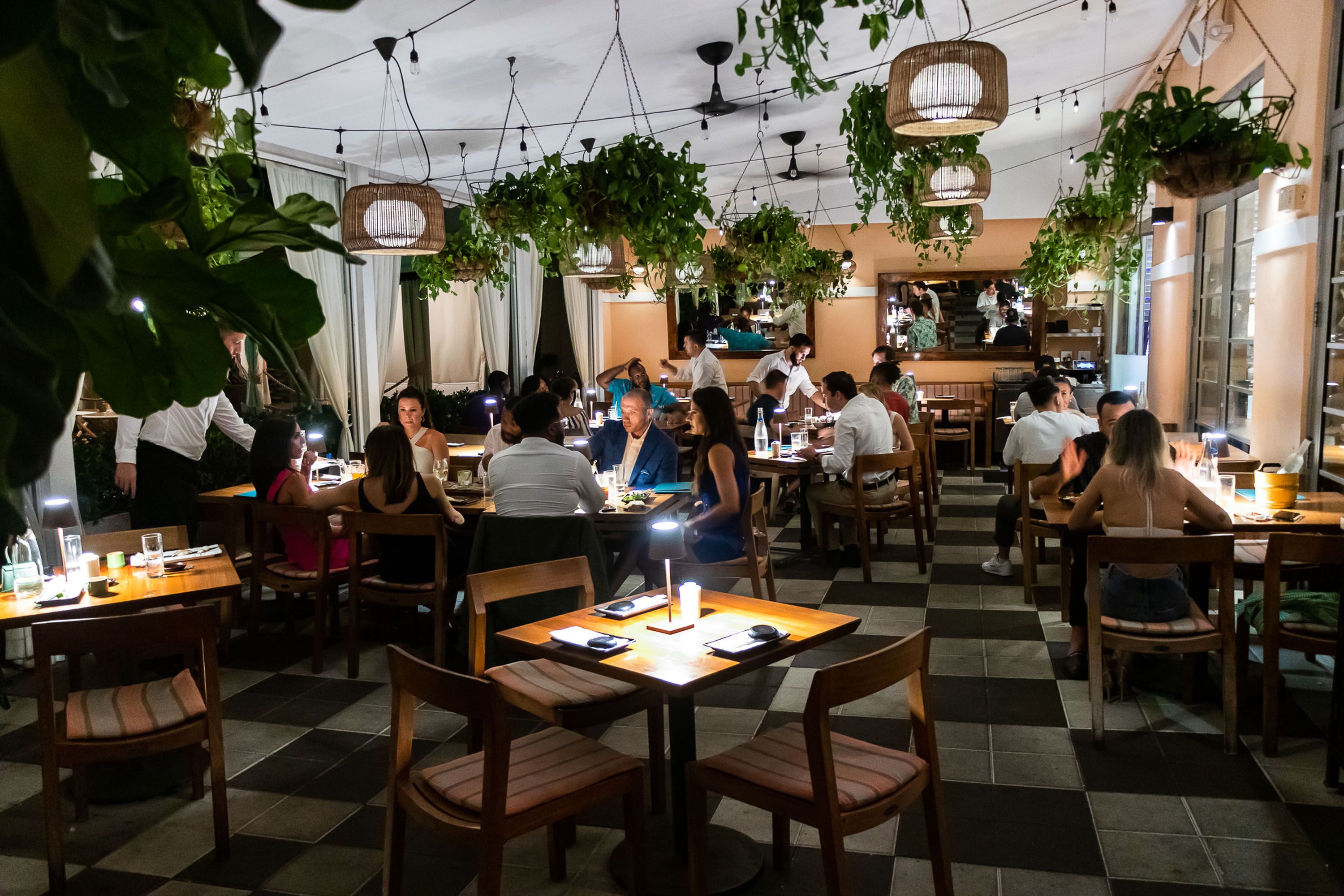 blue ribbon sushi dress code Blue Ribbon Sushi Bar & Grill | New York Magazine