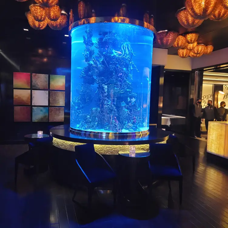 Atlantis Steakhouse - Atlantis Casino Resort Spa, Reno, NV