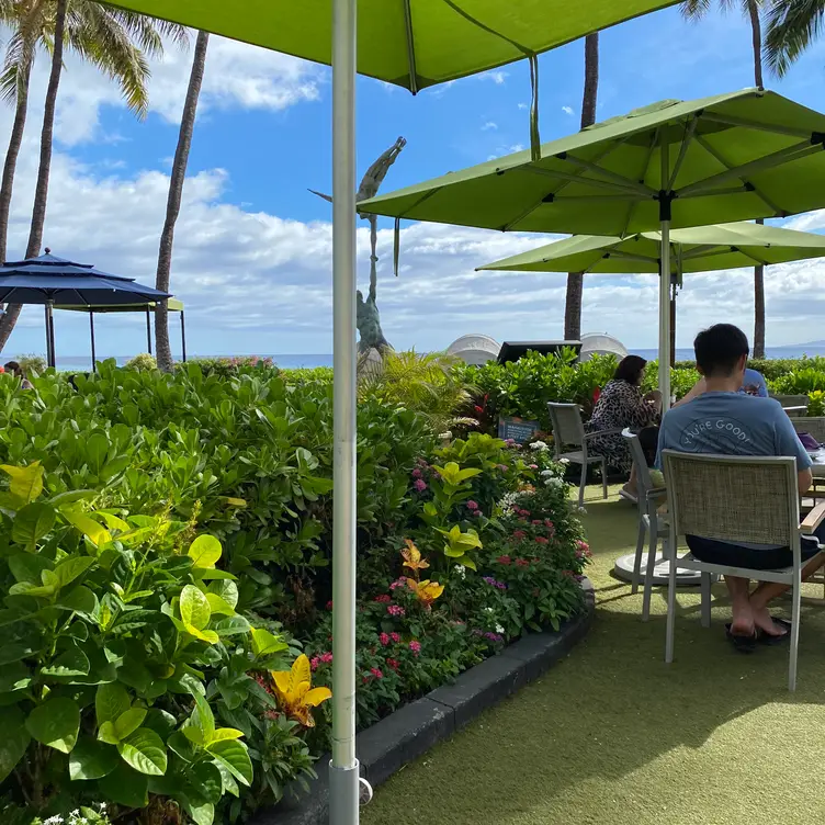 Umalu, Lahaina, HI