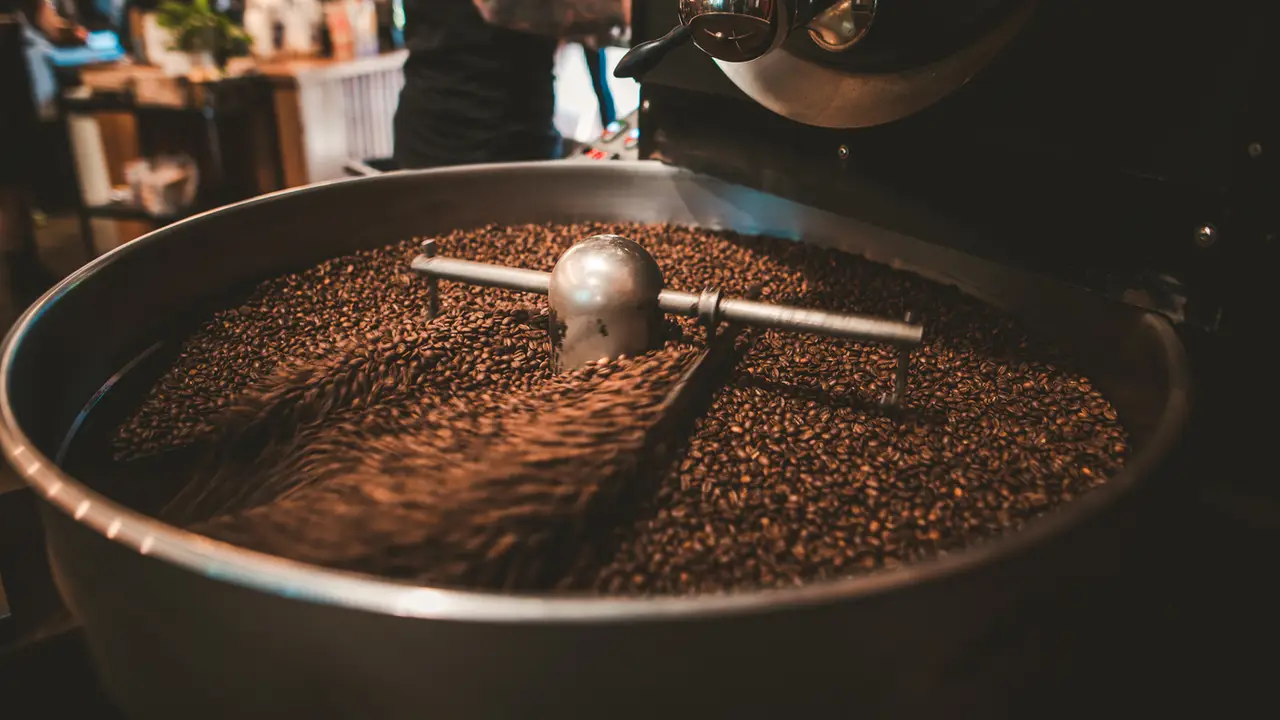 Bellissimo Coffee, Bulimba, AU-QLD