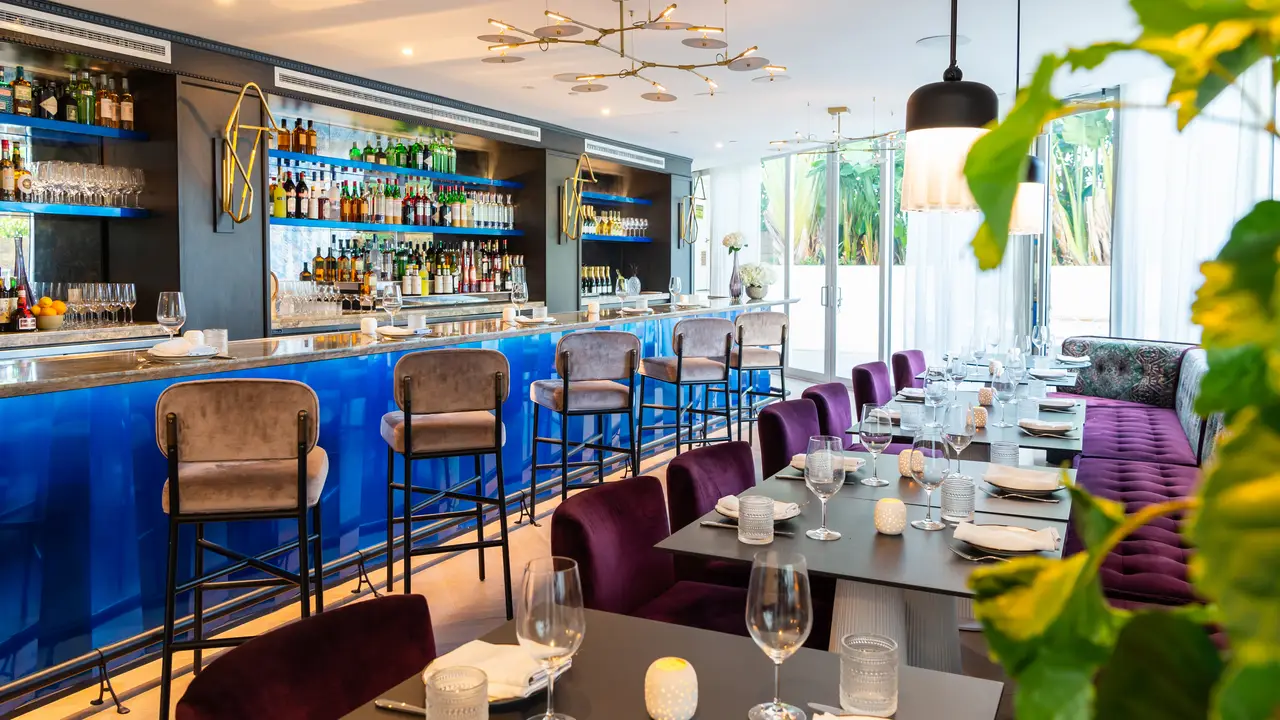 Mia Bar/Lounge - Meet Mia, Miami Beach, FL