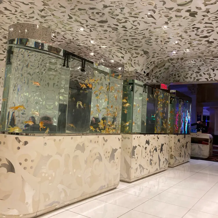 Beijing Noodle No. 9 - Caesars Palace Las Vegas, Las Vegas, NV