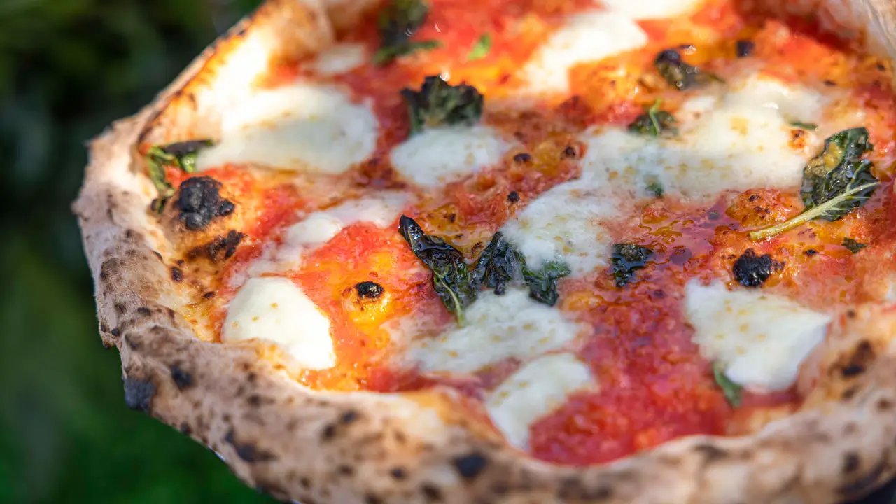Delicious authentic Neapolitan style pizza   - Basilicò La Pizzeria, San Diego, CA
