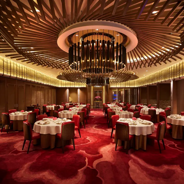 Pak Loh Chiu Chow - Galaxy Macau, Cotai, Macau