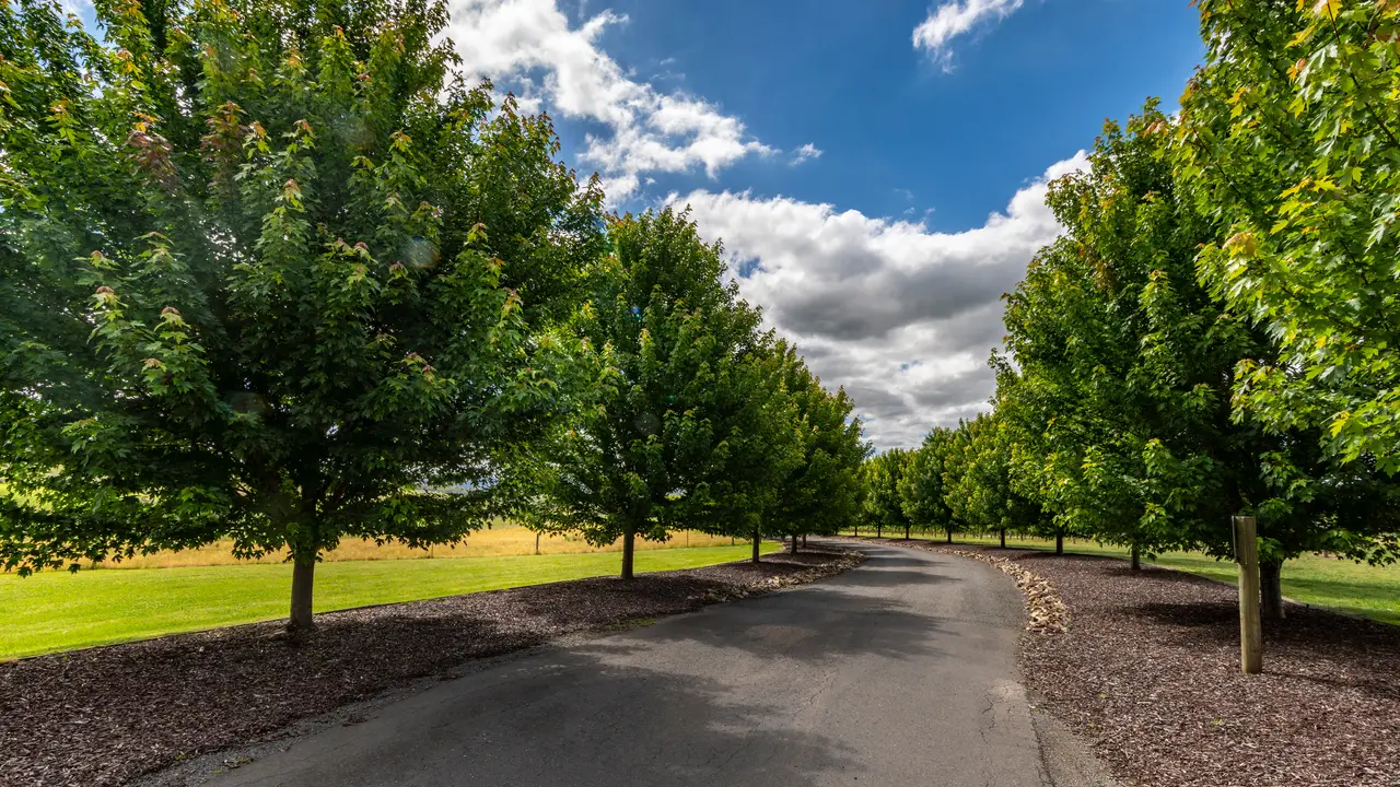 Our outlook from the Cellar Door - Warramunda Estate, Coldstream, AU-VIC