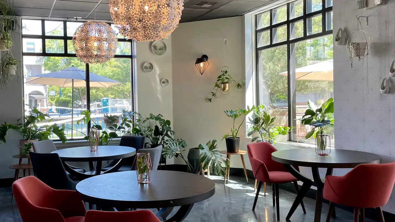 DOJA Tea Lounge, Tualatin, OR