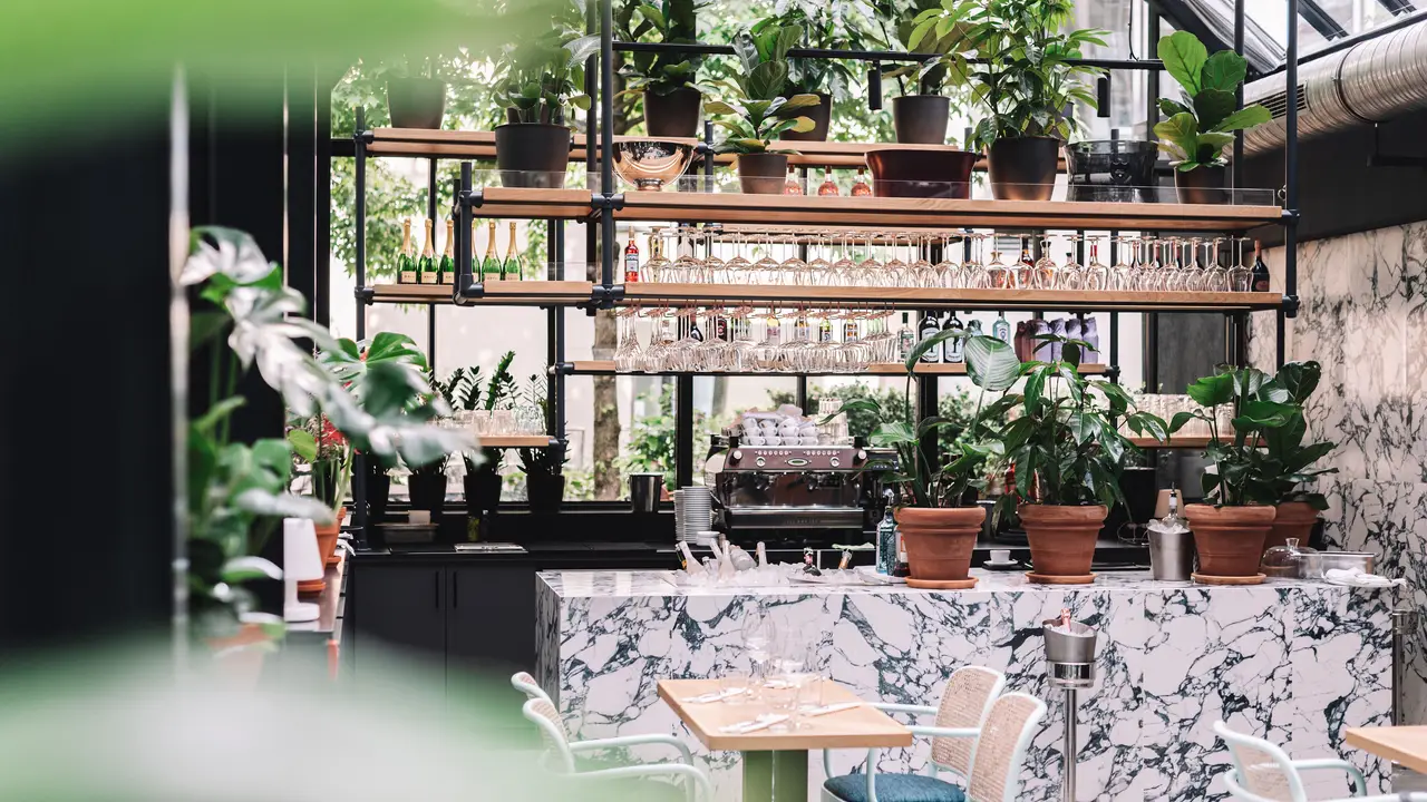 Elaine's Greenhouse, Frankfurt am Main, HE