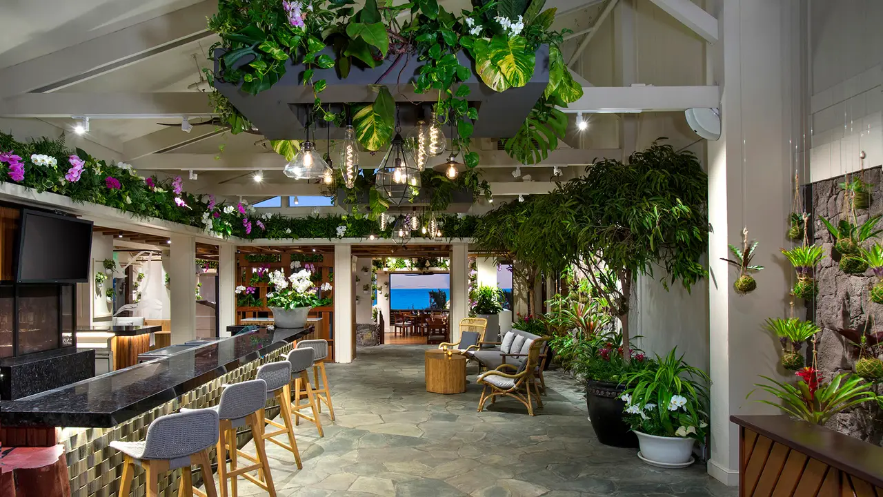 Service Now - Banyan Tree, Lahaina, HI